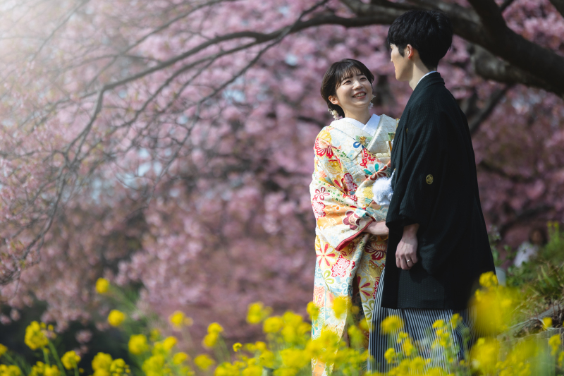 河津桜と菜の花