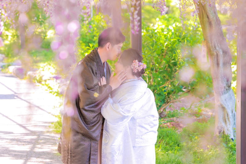 ふわふわの色味で