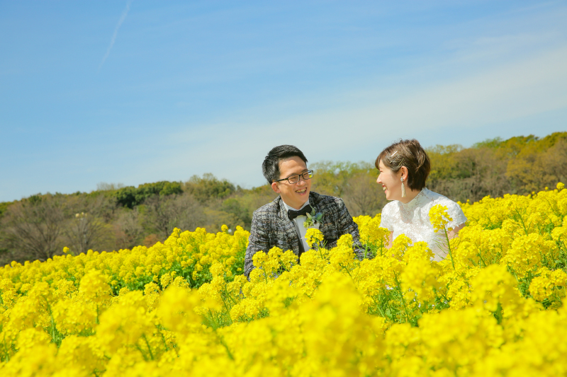 満開の菜の花とともに