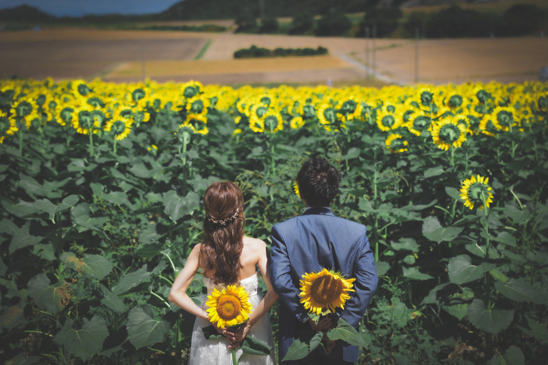 おふたりの向日葵はカメラ目線