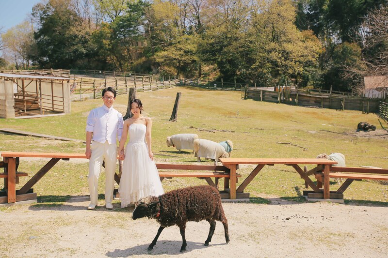 動物が大好き！