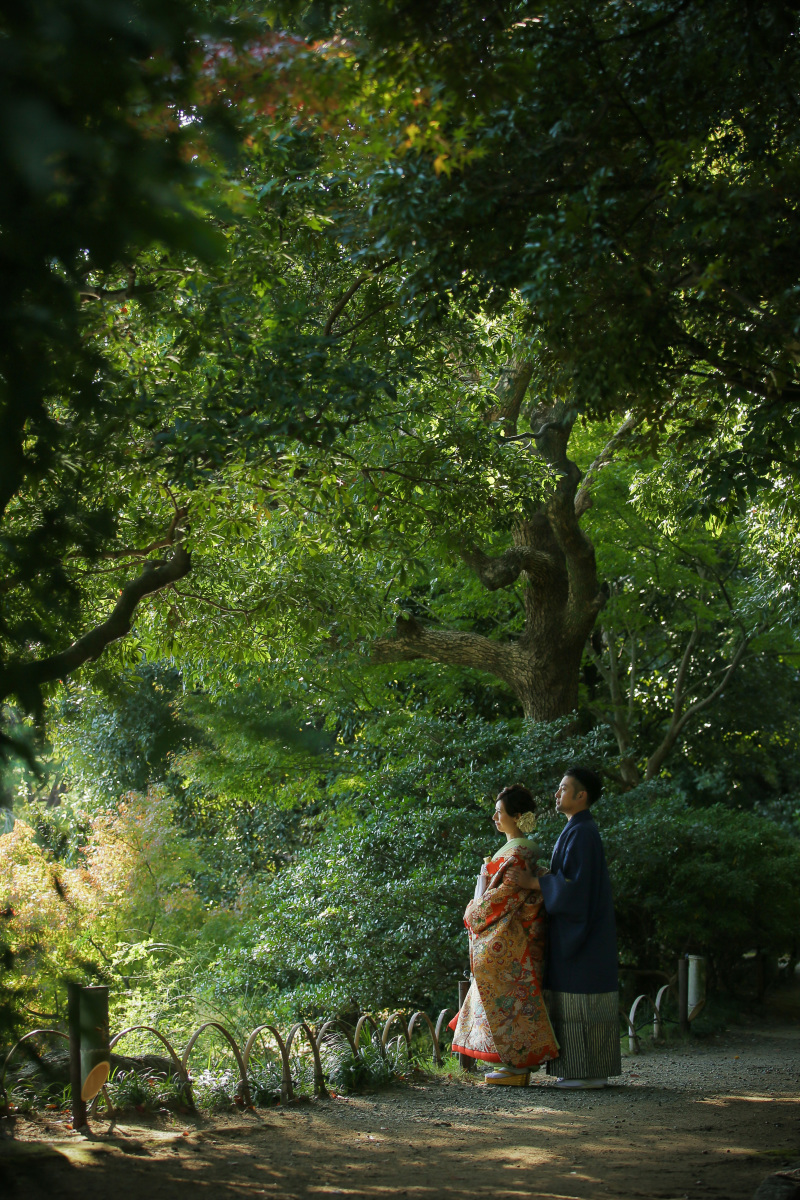 木々の生い茂る小道で。