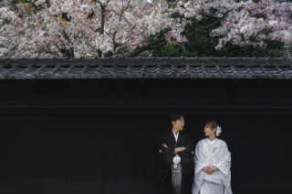 桜ロケーション