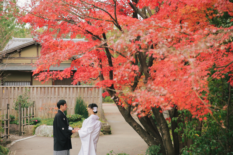 真っ赤な紅葉がお出迎え