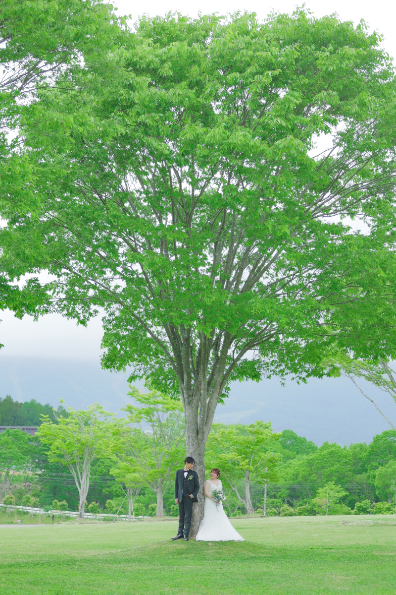 大きな木の下で