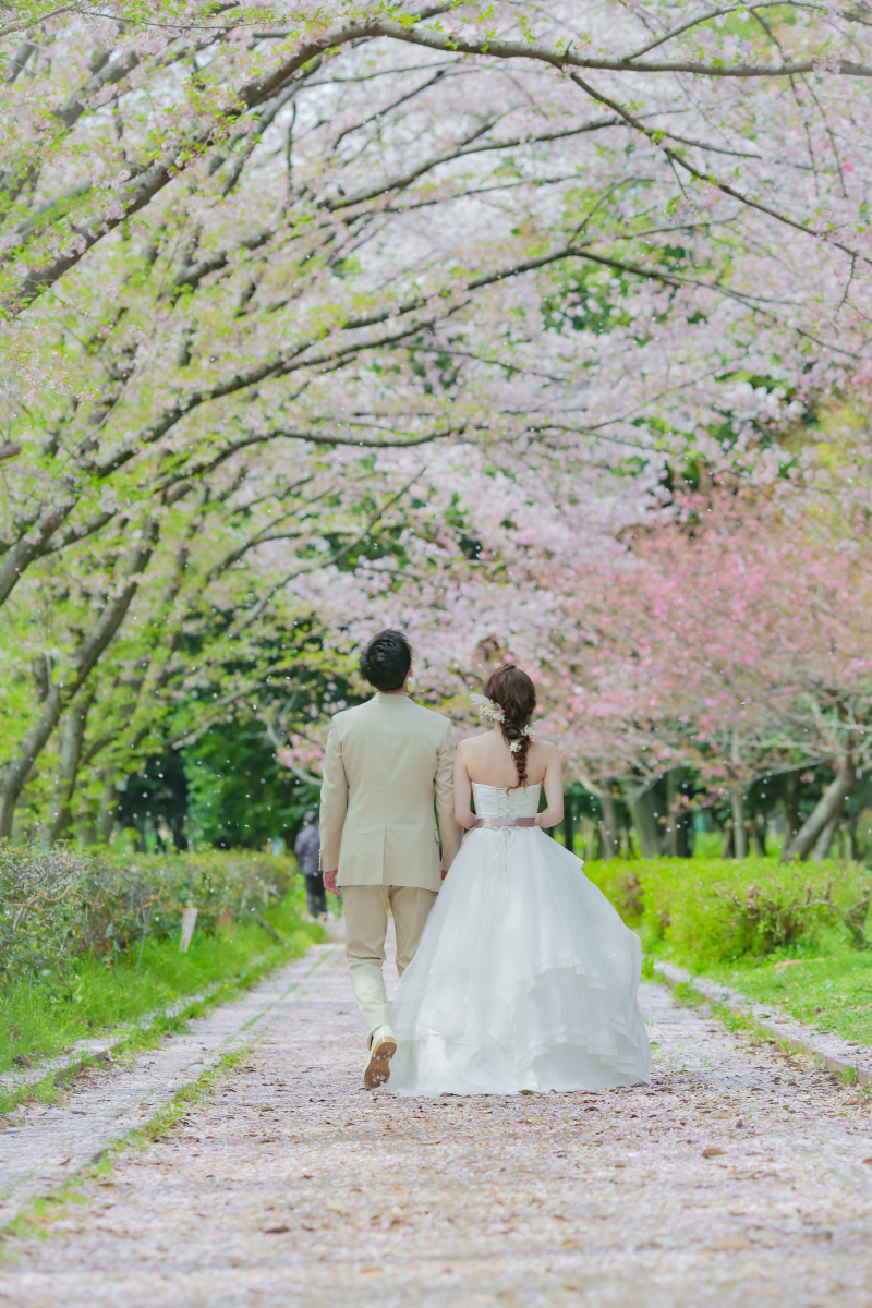 小道をおさんぽ