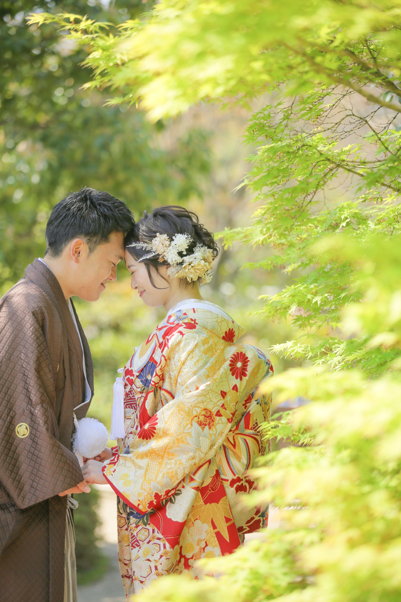 緑も綺麗な季節です！