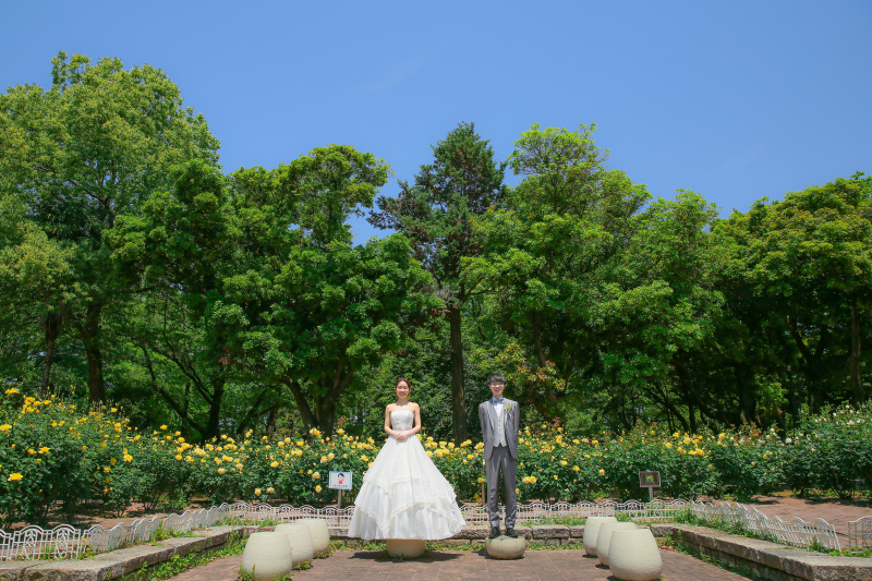 ひろ〜い写真も