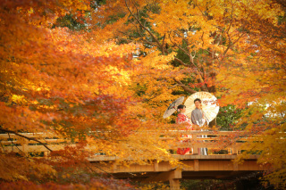 大人気！秋の徳川園♪