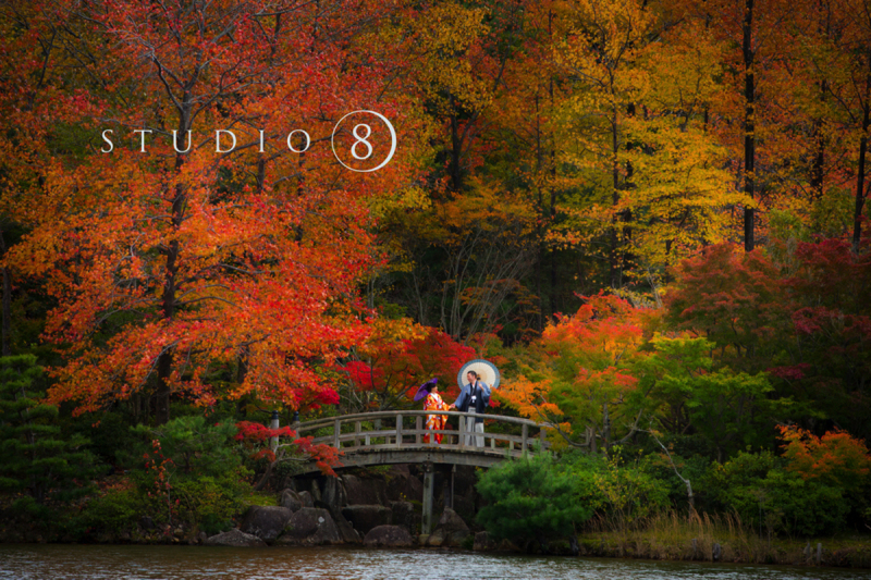 見渡す限りの紅葉