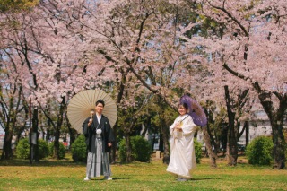 これからの桜ロケーションのご紹介♪