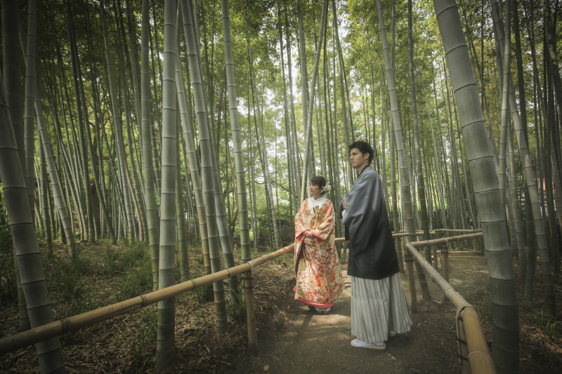 竹林スポットが、、