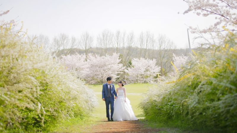 小道を歩きながら。