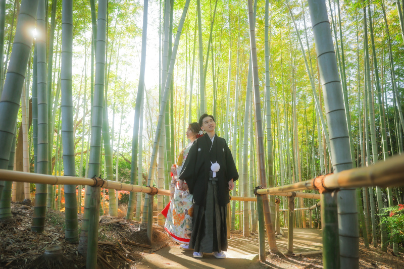 竹林もありますよ