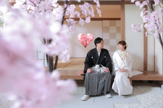 さくらいっぱい！屋内庭園スタジオ