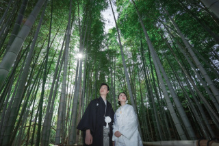 エモーショナル白鳥庭園