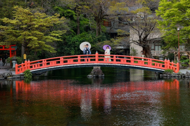 引きのお写真も