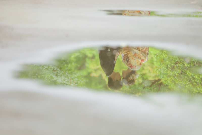 雨ならではのお写真も！