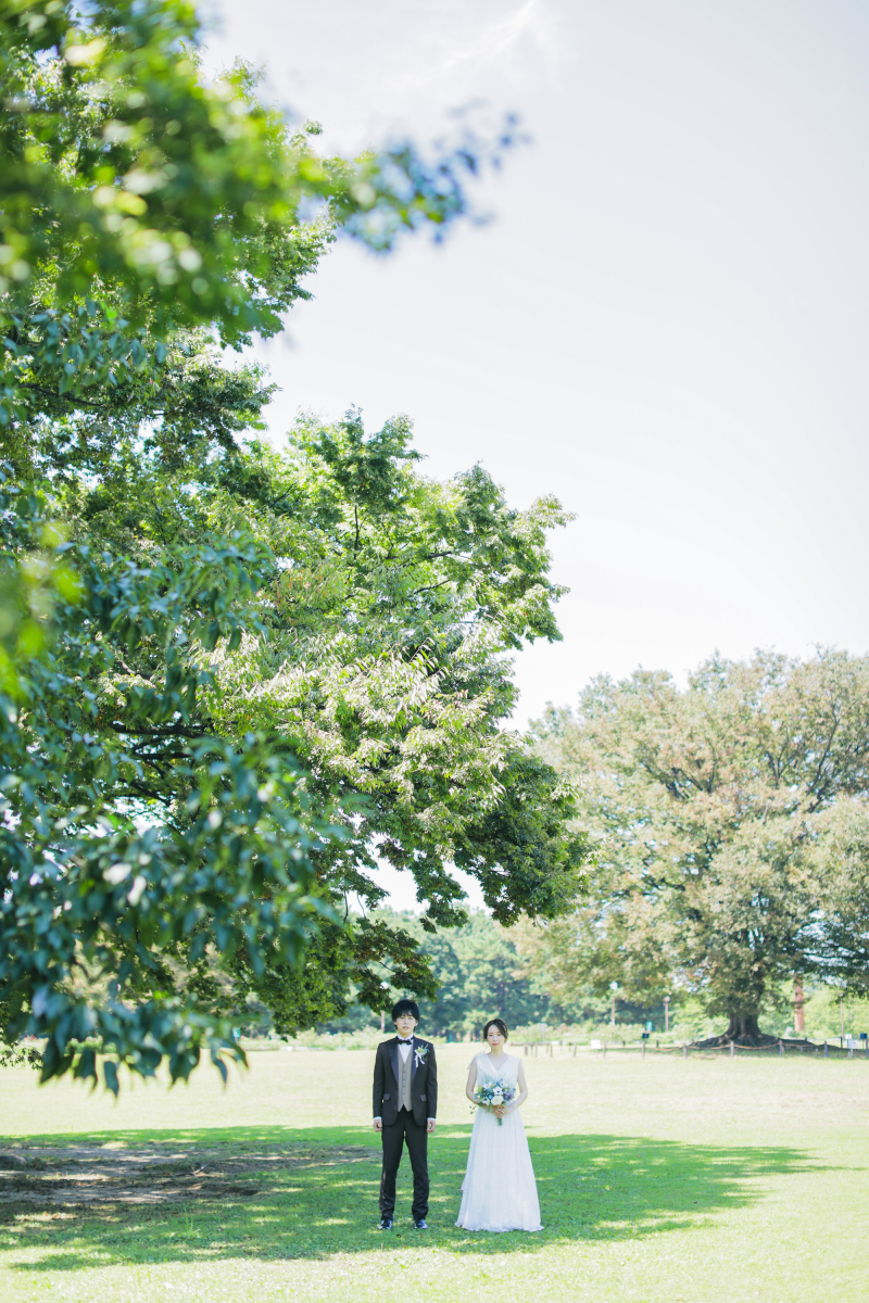 夏日の爽やか。