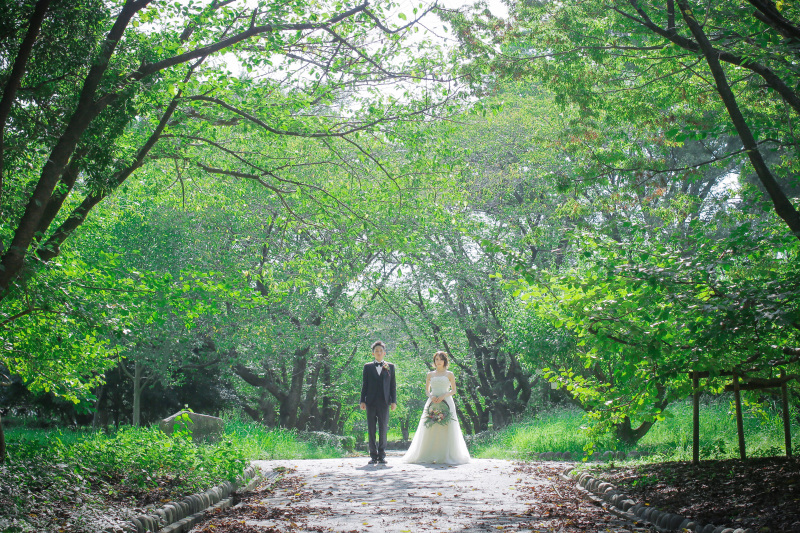 大きな木に囲まれた道