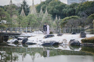 雪が積もりました