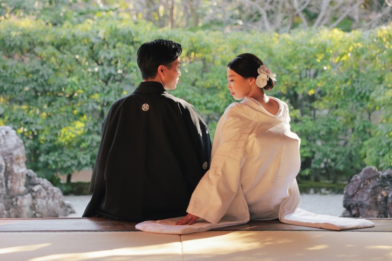 2月白鳥ロケーション