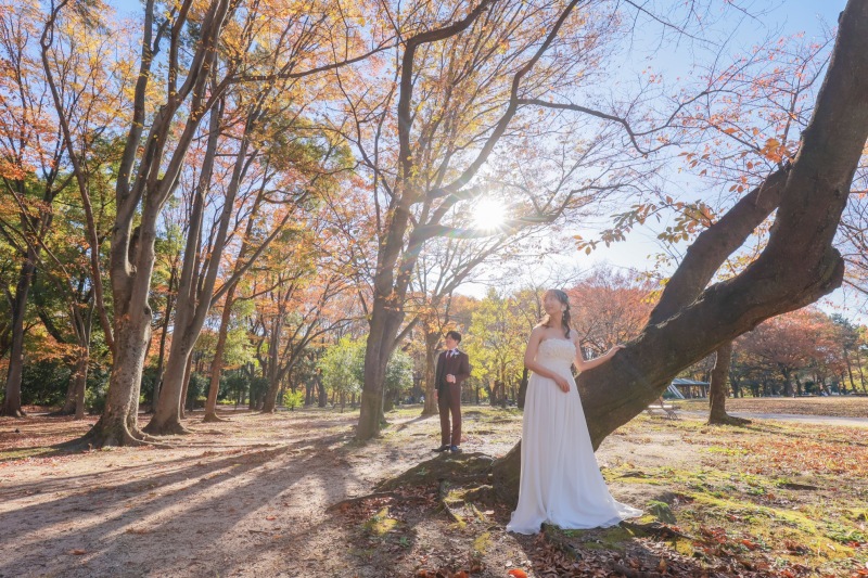 色づいた木々の中で