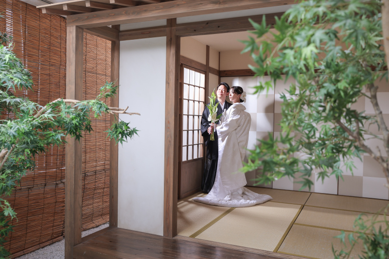 屋内庭園スタジオ