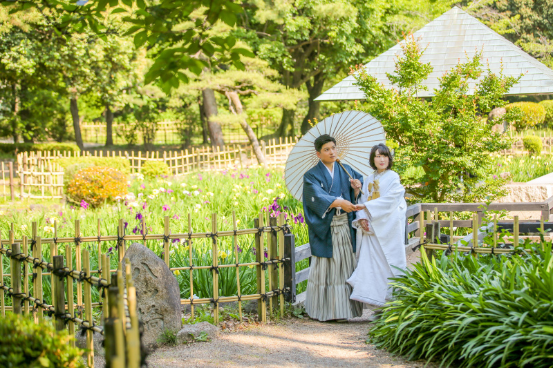 ショウブかアヤメかカキツバタか