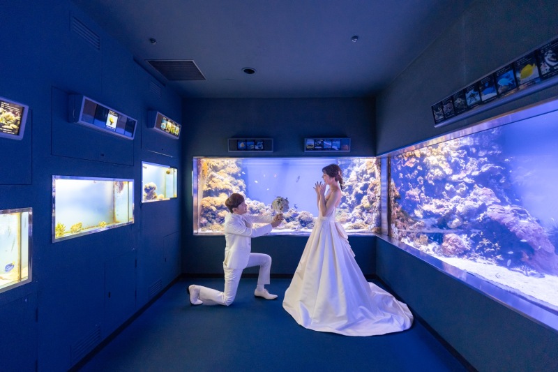 プロポーズ風も