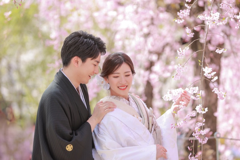 枝垂れ桜越しに