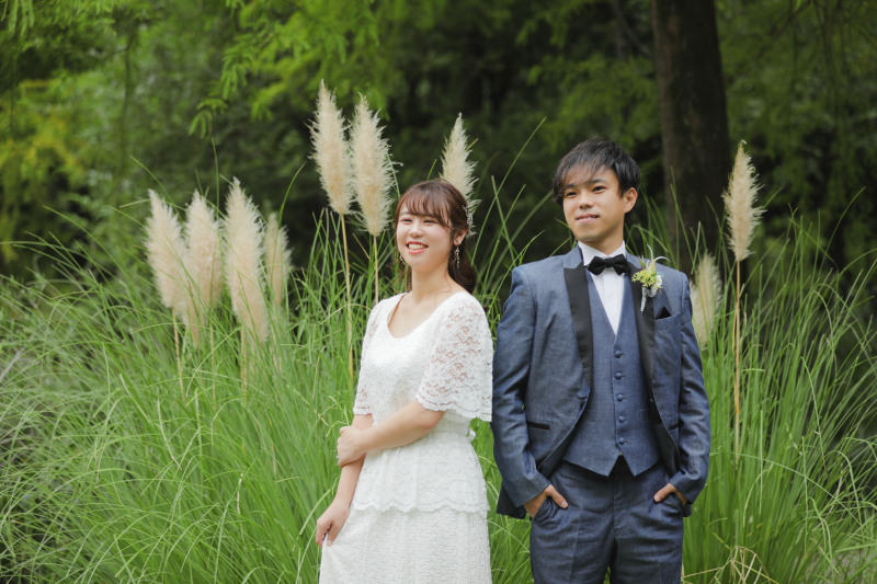 夏から秋にかけて