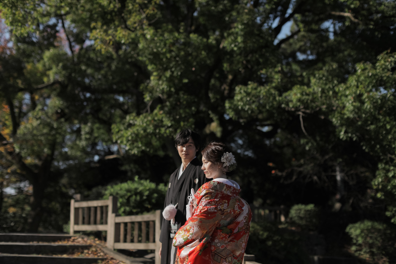 秋の綺麗な光の中で