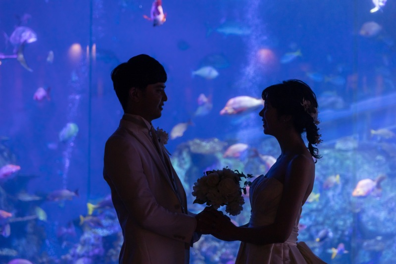 シルエットでも