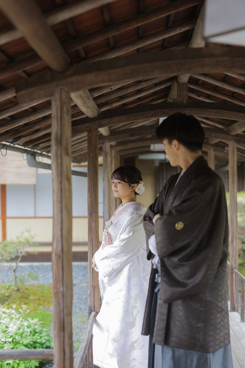 正面からのショット