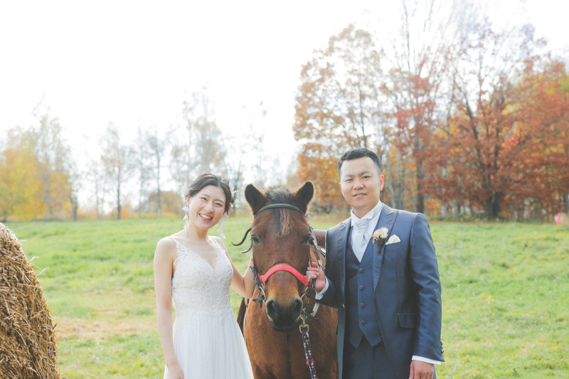 お馬さん可愛いですね