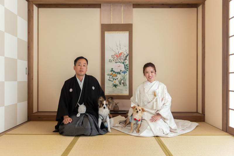 わんちゃんと正座