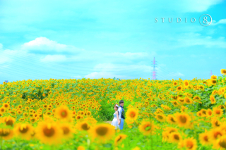 ひまわり畑での撮影！