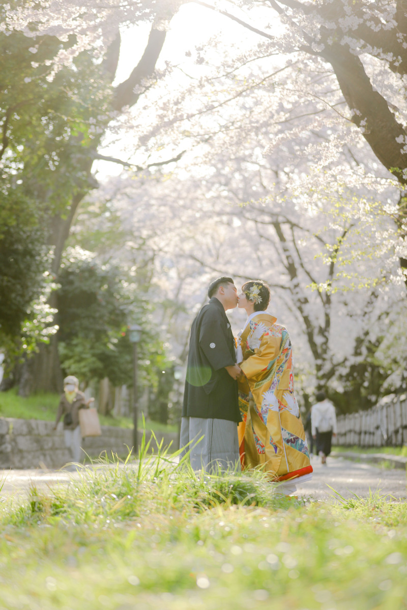 逆光で幻想的に