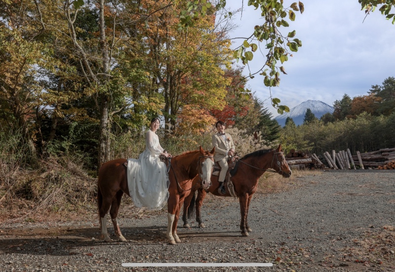 すてきなスポット