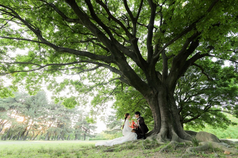 新緑！夕方！庄内緑地公園ロケーション！