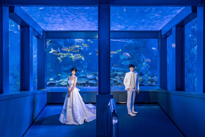 水族館での撮影