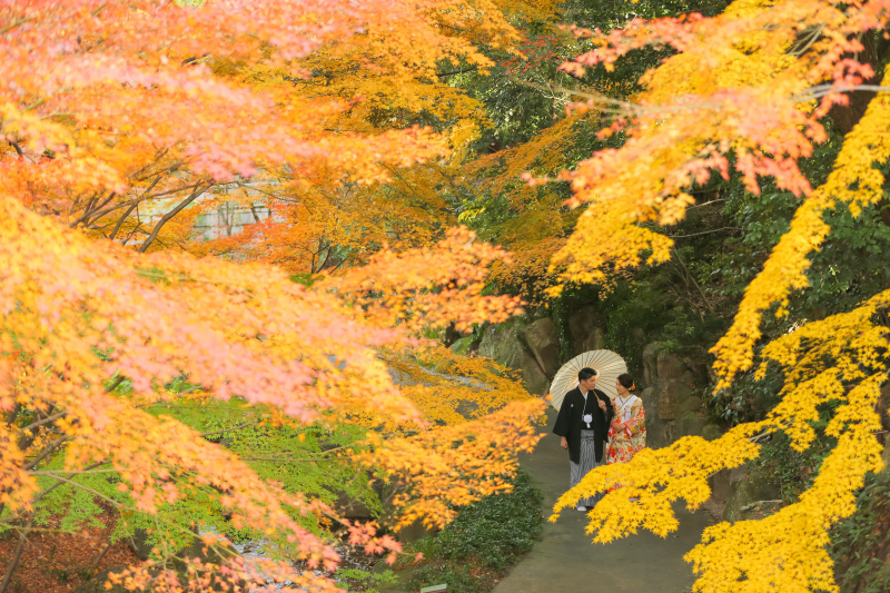 紅葉に囲まれて