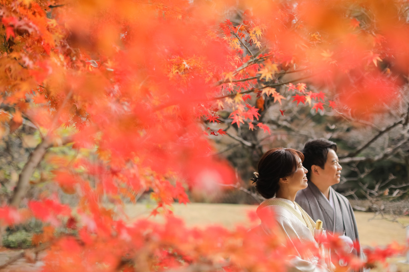 燃えるように色づく紅葉
