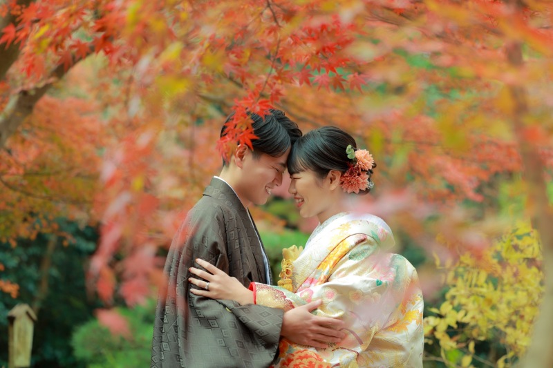 葉っぱの隙間から