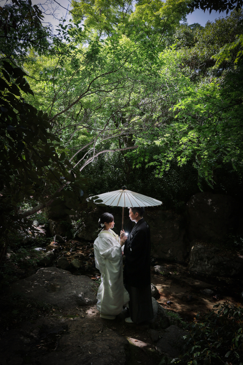 一つの傘の下で