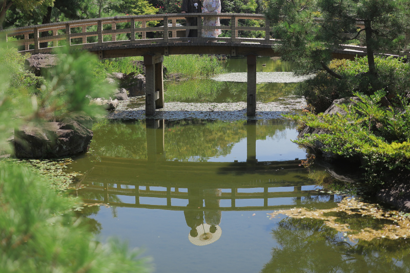 イメージショット