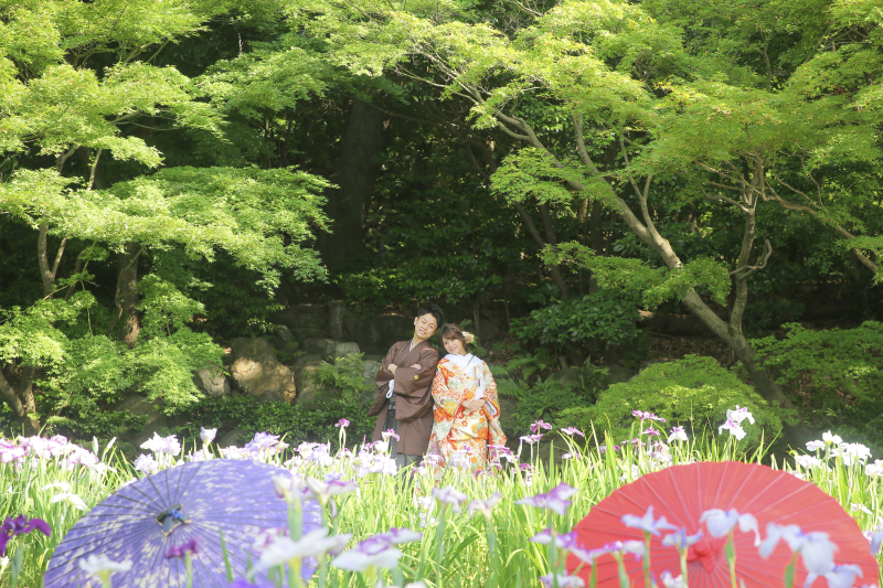 菖蒲の花とともに...