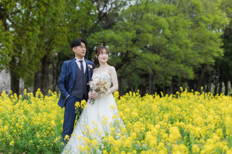 菜の花と