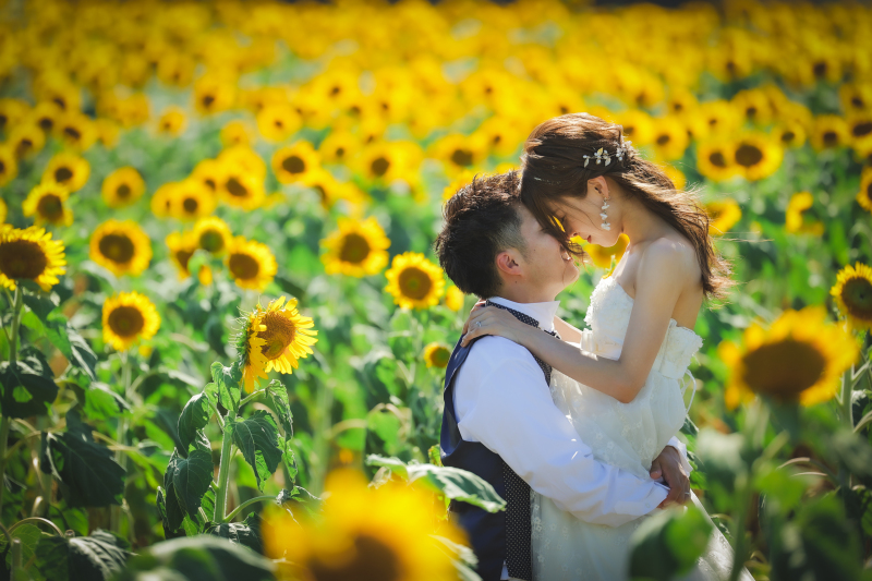 元気に向日葵ロケーション！